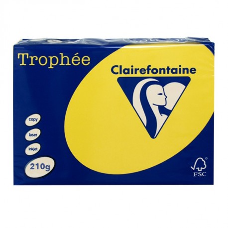 Trophee A4 210gsm 250pk Bright / Intensive Yellow