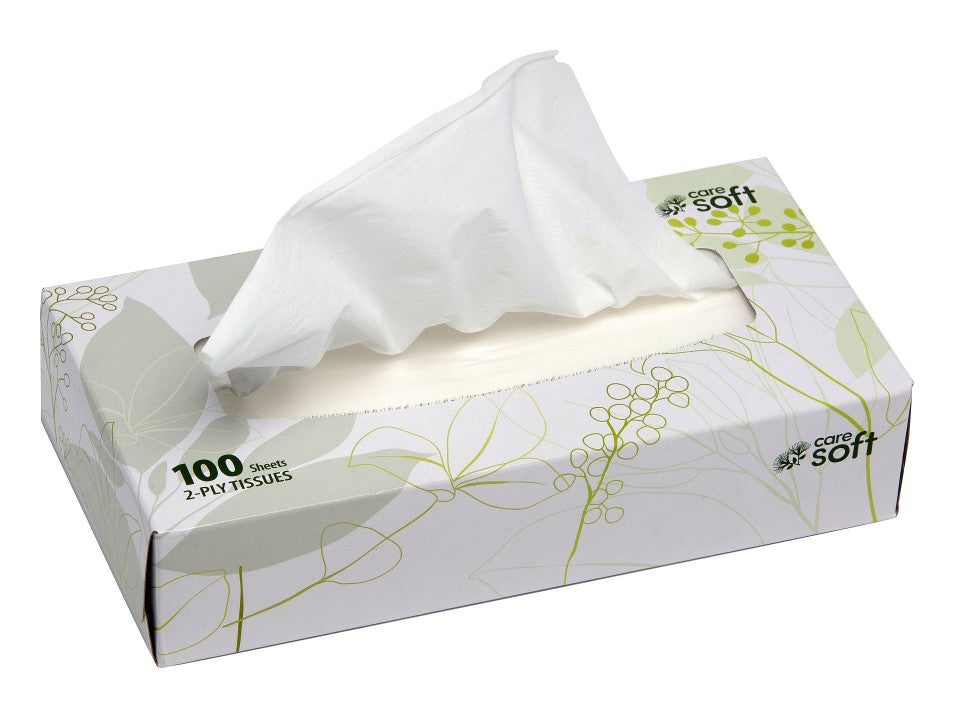 Care Soft Facial Tissues 2 Ply White Box 100