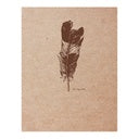 Flying Spirit Sketch Book 16x21cm Kraft