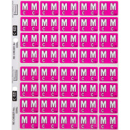 Filecorp C-Ezi Alpha Lateral Labels Letter Mc 24mm Sheet of 40 Filecorp C-Ezi Alpha Lateral Labels Letter Mc 24mm Sheet of 40
