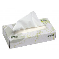 Care Soft Facial Tissues 2 Ply White Box 100 