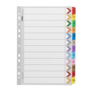 Icon Cardboard Indices with Reinforced Tabs 1-12 Coloured