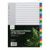 Icon PP Dividers 20 Tab Coloured