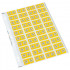 Codafile Label Alpha M 25mm Pack 5 Sheets 