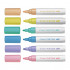 Pilot Pintor Marker Medium 6 Pack Pastel